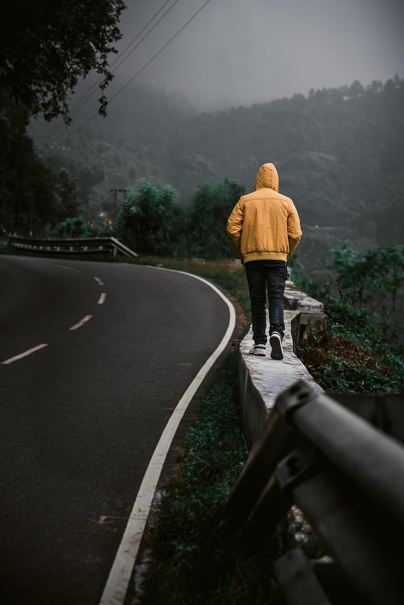 Hiking Wanderer